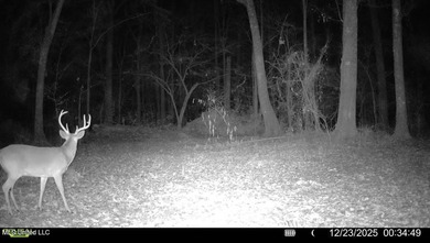 +/- 438 acre hardwood timber river bottom hunting tract in - photo 33