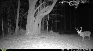 +/- 438 acre hardwood timber river bottom hunting tract in - photo 41