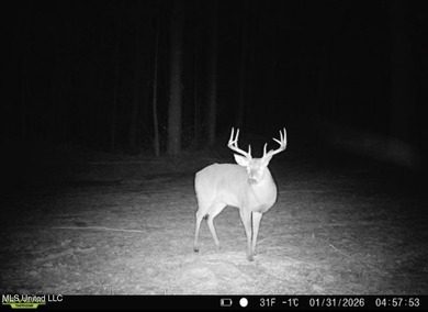 +/- 438 acre hardwood timber river bottom hunting tract in - photo 43