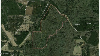 +/- 438 acre hardwood timber river bottom hunting tract in - photo 45