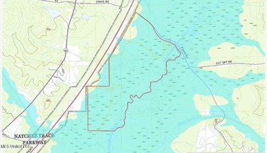 +/- 438 acre hardwood timber river bottom hunting tract in - photo 46