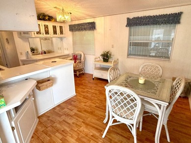 Welcome to this well-maintained 1996 Skyline single-wide home - photo 9