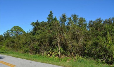 Lake Lot For Sale in Lake Placid, Florida