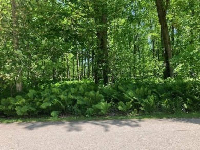 Pickerel Lake - Emmet County Lot For Sale in Alanson Michigan
