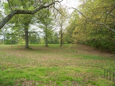 2 bd 1ba brick home (865 sq ft) nestled upon 10.67 wooded acres - photo 5