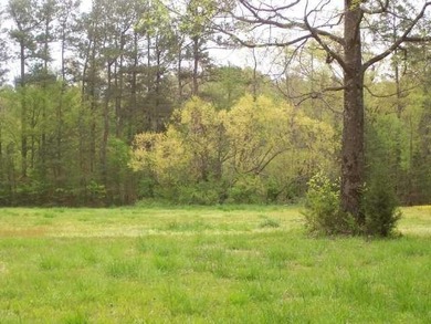 2 bd 1ba brick home (865 sq ft) nestled upon 10.67 wooded acres - photo 6