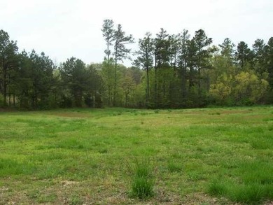 2 bd 1ba brick home (865 sq ft) nestled upon 10.67 wooded acres - photo 7