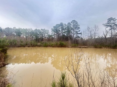 2 bd 1ba brick home (865 sq ft) nestled upon 10.67 wooded acres - photo 9