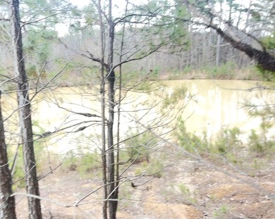 2 bd 1ba brick home (865 sq ft) nestled upon 10.67 wooded acres - photo 10