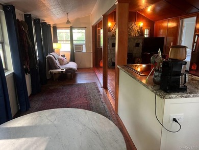 Charming Updated Seasonal Smallwood Cottage Near Bethel Woods - - photo 41
