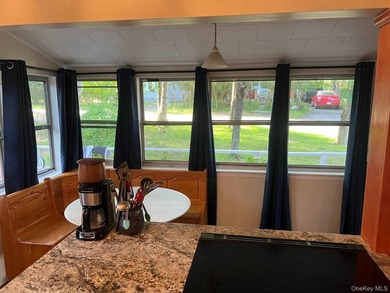 Charming Updated Seasonal Smallwood Cottage Near Bethel Woods - - photo 47