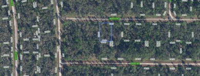 Lake Lot For Sale in Lake Placid, Florida