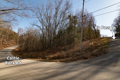 Lake View Land - 3.8 acres - photo 5