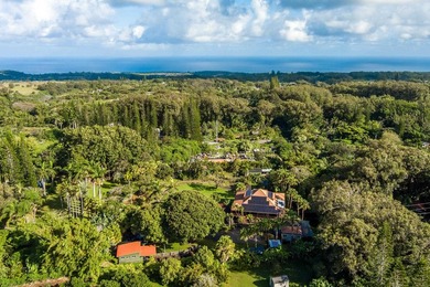 More fun per square foot than any property on Maui. Wake up - photo 41