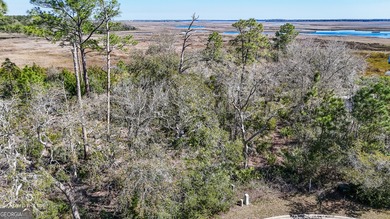 Marsh front building site on cul-de-sac in the gated community - photo 6