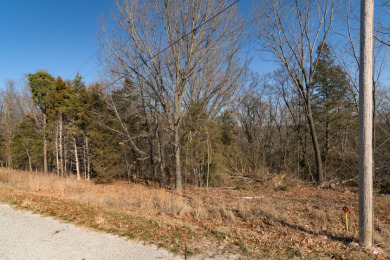 Lake View Land - 3.8 acres - photo 4