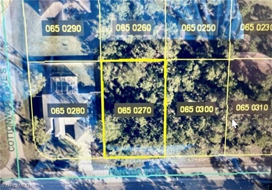 Lehigh Acres Area Lot For Sale in Lehigh Acres Florida