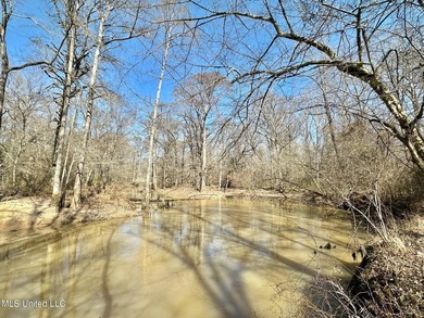 +/- 269 acre hardwood timber river bottom hunting tract in - photo 11