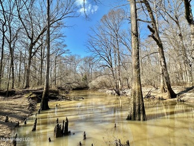 +/- 269 acre hardwood timber river bottom hunting tract in - photo 12