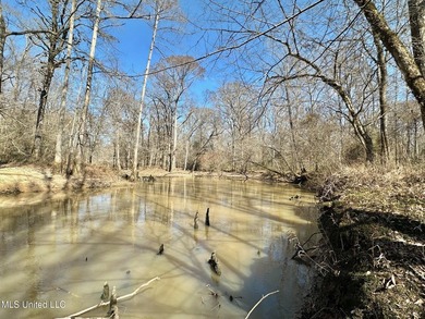 +/- 269 acre hardwood timber river bottom hunting tract in - photo 13