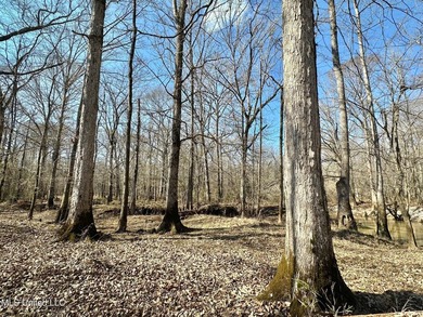 +/- 269 acre hardwood timber river bottom hunting tract in - photo 14