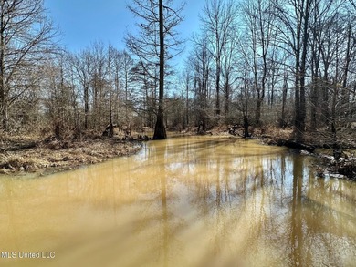 +/- 269 acre hardwood timber river bottom hunting tract in - photo 15