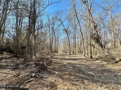 +/- 269 acre hardwood timber river bottom hunting tract in - photo 17