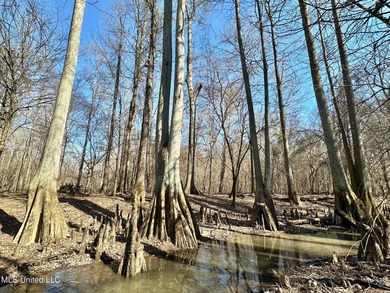 +/- 269 acre hardwood timber river bottom hunting tract in - photo 18