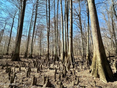 +/- 269 acre hardwood timber river bottom hunting tract in - photo 19