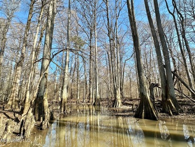 +/- 269 acre hardwood timber river bottom hunting tract in - photo 21