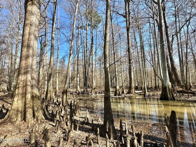 +/- 269 acre hardwood timber river bottom hunting tract in - photo 22
