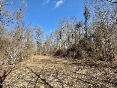 +/- 269 acre hardwood timber river bottom hunting tract in - photo 24