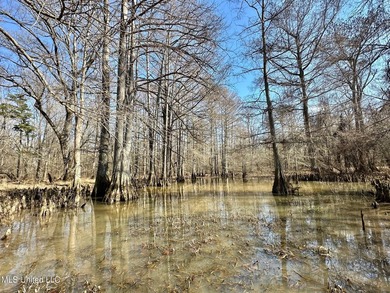 +/- 269 acre hardwood timber river bottom hunting tract in - photo 25
