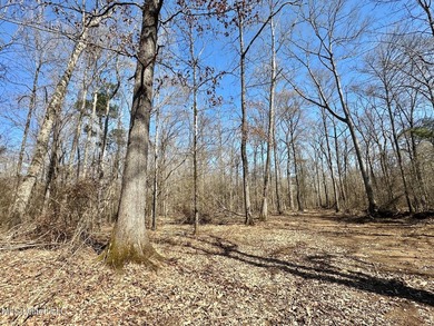 +/- 269 acre hardwood timber river bottom hunting tract in - photo 27