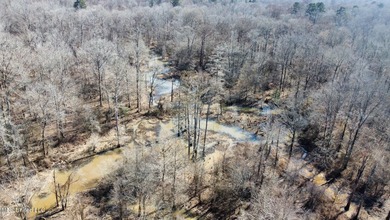 +/- 269 acre hardwood timber river bottom hunting tract in - photo 28