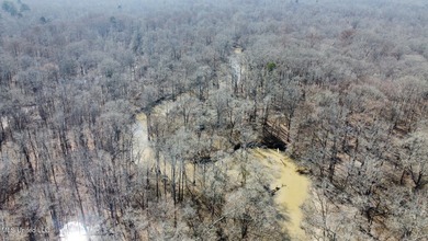 +/- 269 acre hardwood timber river bottom hunting tract in - photo 29