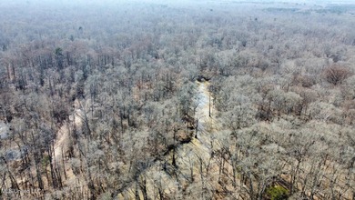 +/- 269 acre hardwood timber river bottom hunting tract in - photo 31