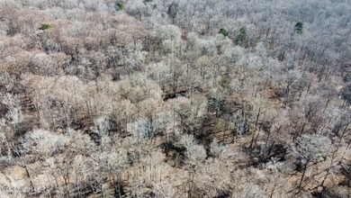 +/- 269 acre hardwood timber river bottom hunting tract in - photo 32