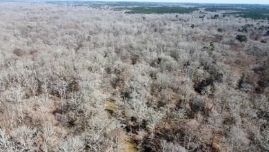 +/- 269 acre hardwood timber river bottom hunting tract in - photo 33
