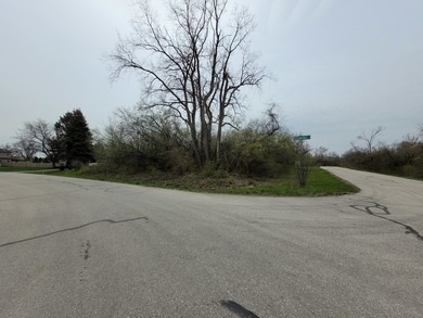 Wooded .52 acre site. Corner lot on cul de sac. Not many - photo 3