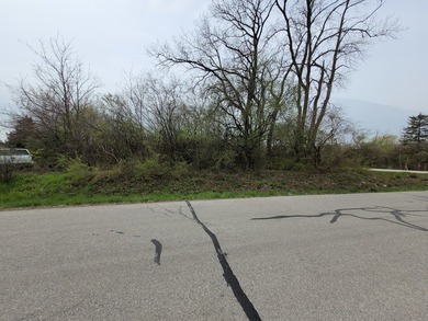 Wooded .52 acre site. Corner lot on cul de sac. Not many - photo 4