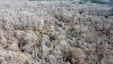 +/- 269 acre hardwood timber river bottom hunting tract in - photo 35