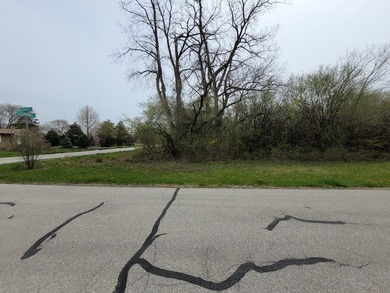 Wooded .52 acre site. Corner lot on cul de sac. Not many - photo 5