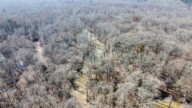 +/- 269 acre hardwood timber river bottom hunting tract in - photo 36