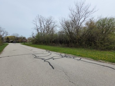 Wooded .52 acre site. Corner lot on cul de sac. Not many - photo 6