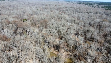 +/- 269 acre hardwood timber river bottom hunting tract in - photo 37