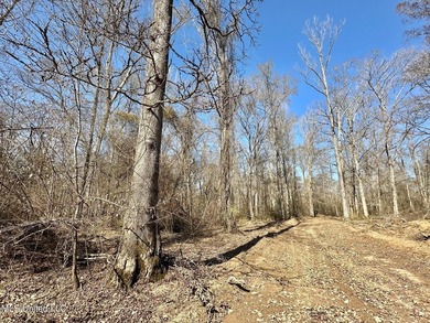 +/- 269 acre hardwood timber river bottom hunting tract in - photo 40