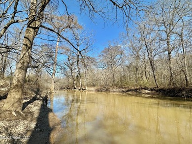 +/- 269 acre hardwood timber river bottom hunting tract in - photo 41