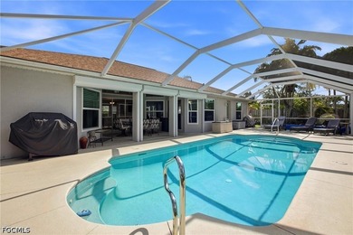 Amazing Southern Exposure pool home in the Pelican area of - photo 43