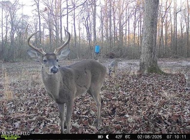+/- 269 acre hardwood timber river bottom hunting tract in - photo 50